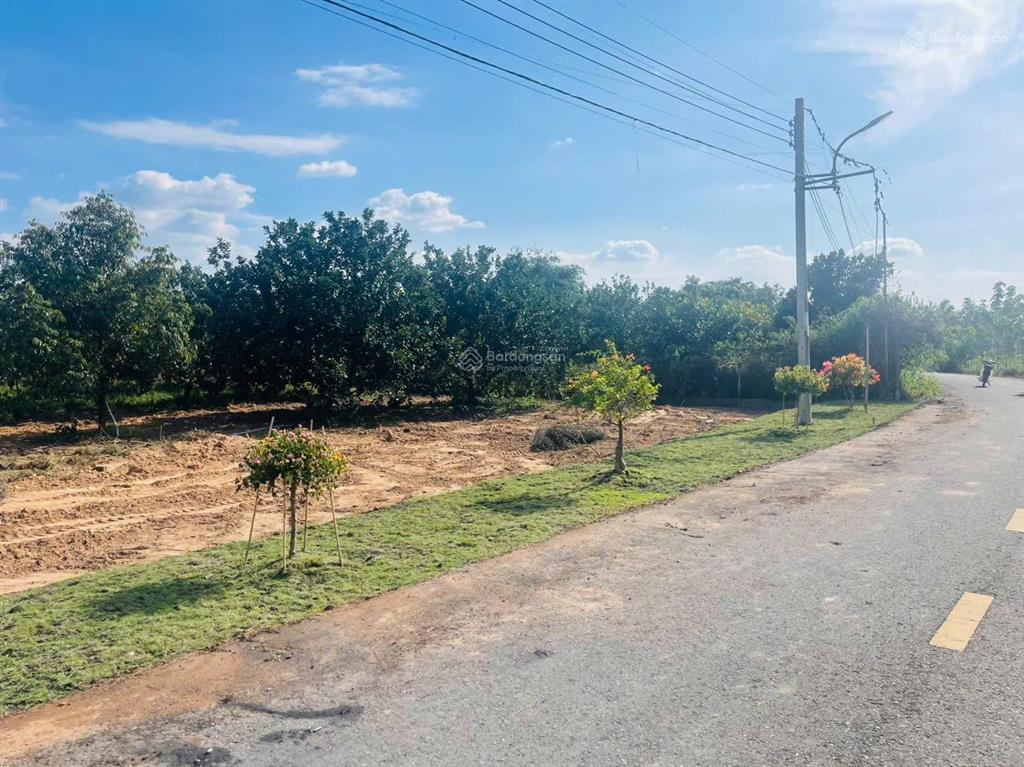 Bán đất sỗ sẵn, tổng 253m2 có 100m2 tc. mặt tiền đường nhựa thông. gần trường hoc và chợ...