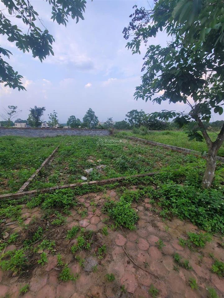 Bán 100m2 đất xây nhà vườn khu tđc vai réo view đỉnh đồi ngắm hoàng hôn, sổ đỏ từ 4xtr/m2