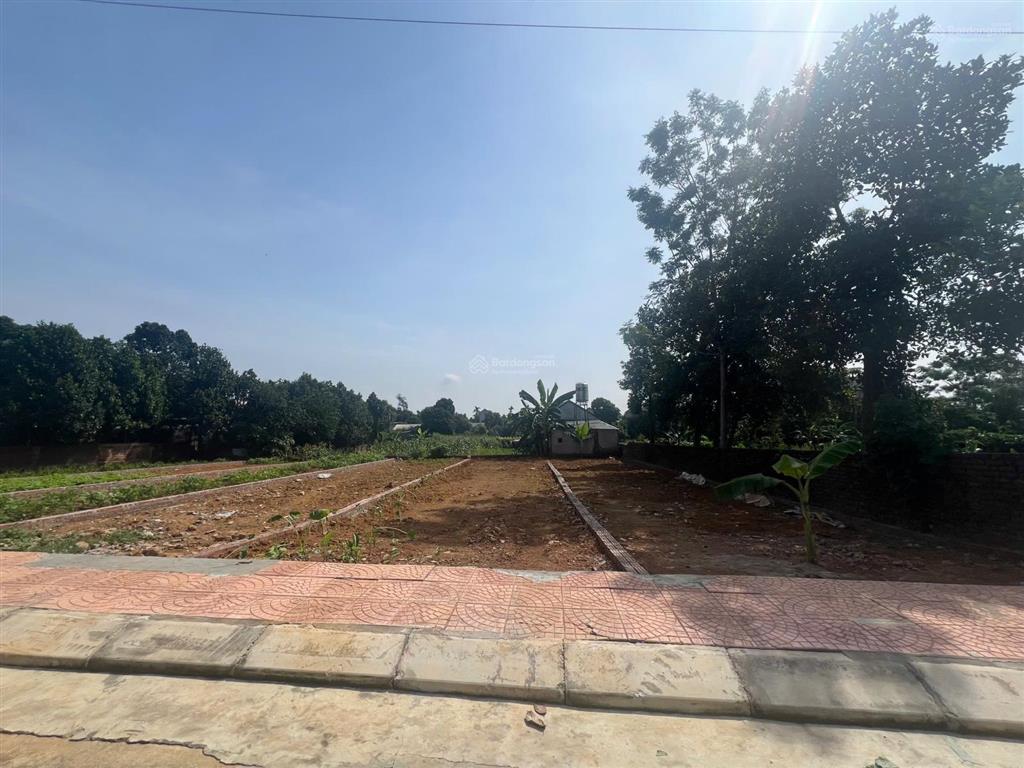 Chỉ từ 3 tỷ/lô 100m2 trung tâm phú cát có vỉa hè, vuông vắn sẵn sổ công chứng ngay