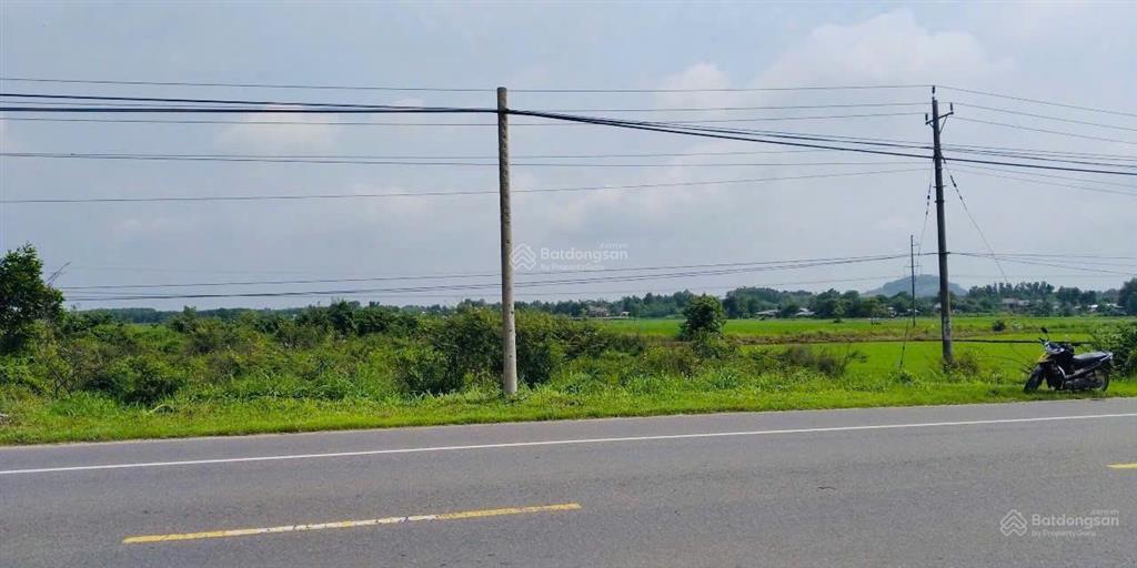 Cơ hội đầu tư vàng mặt tiền ql55 tại tt huyện xuyên mộc với giá cắt sâu giá trị thị trường