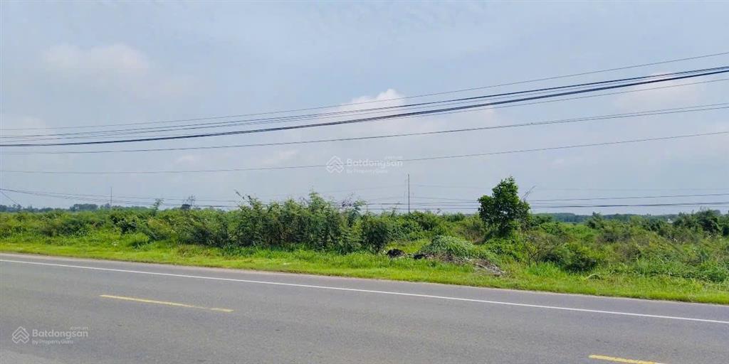 Cơ hội đầu tư vàng mặt tiền ql55 tại tt huyện xuyên mộc với giá cắt sâu giá trị thị trường