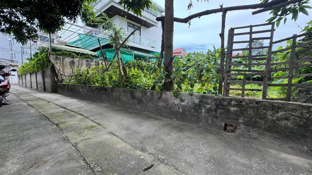 Siêu phẩm đất rộng mặt tiền khủng dễ dàng chia 03 lô đầu tư vô cùng tiềm năng 250m hải bối đông anh
