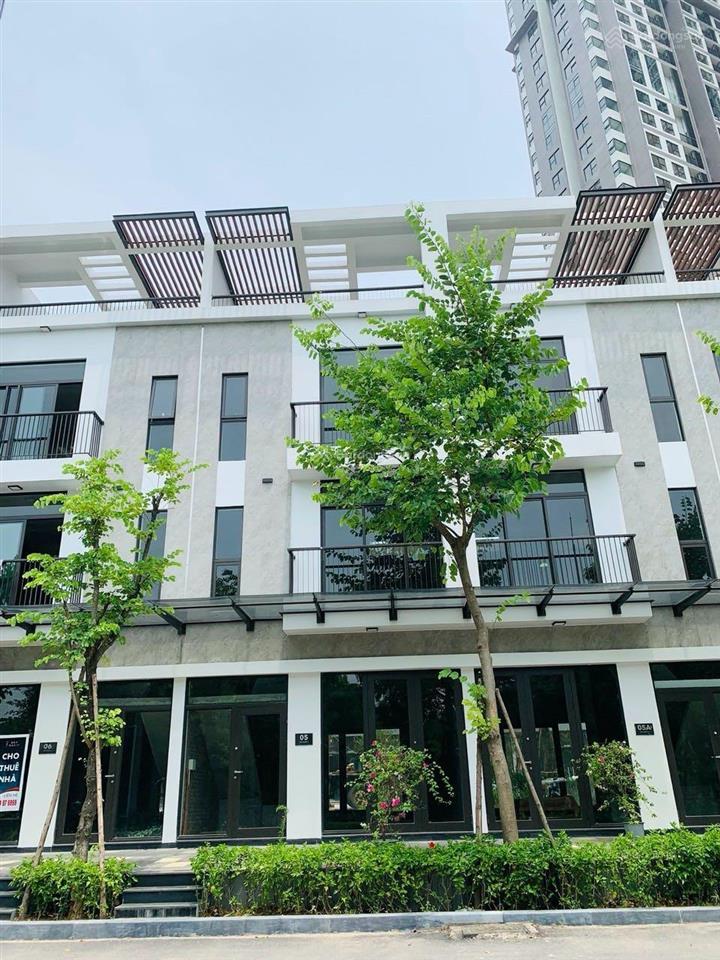 Bán nhà phố hai mặt tiền kinh doanh cực kỳ sầm uất cạnh tám tòa chung cư