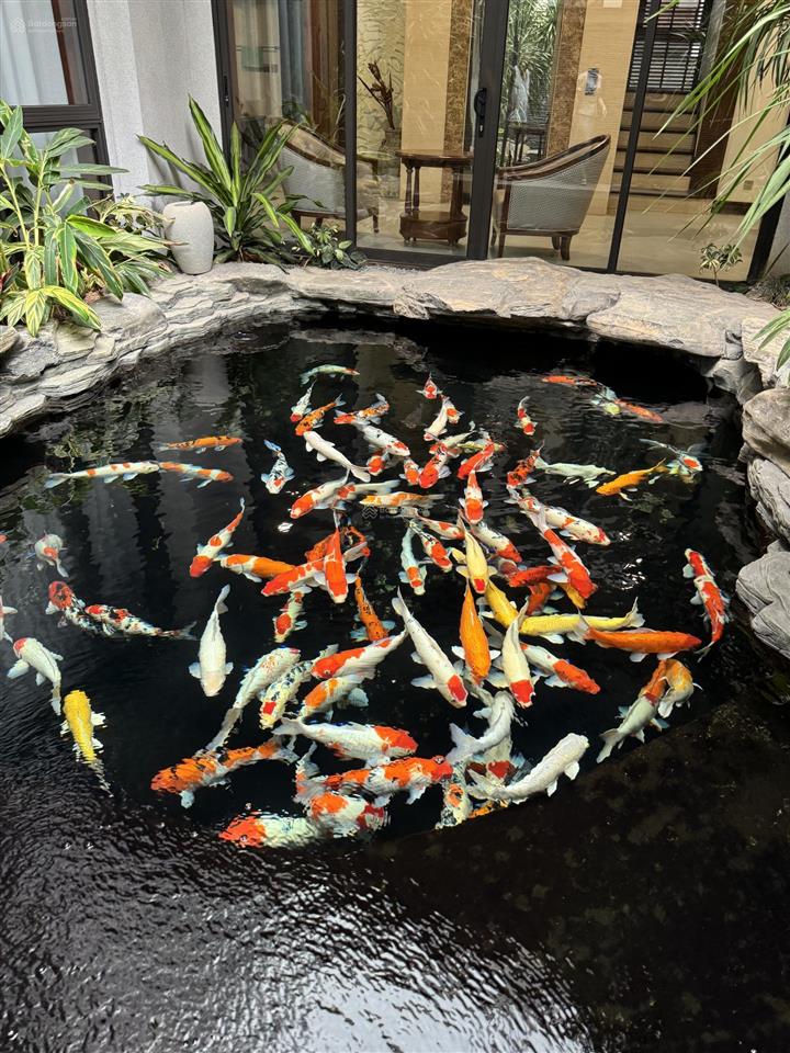 Chính chủ bán biệt thự đơn lập đảo ecopark 450m2, nhà hoàn thiện full nội thất siêu sang
