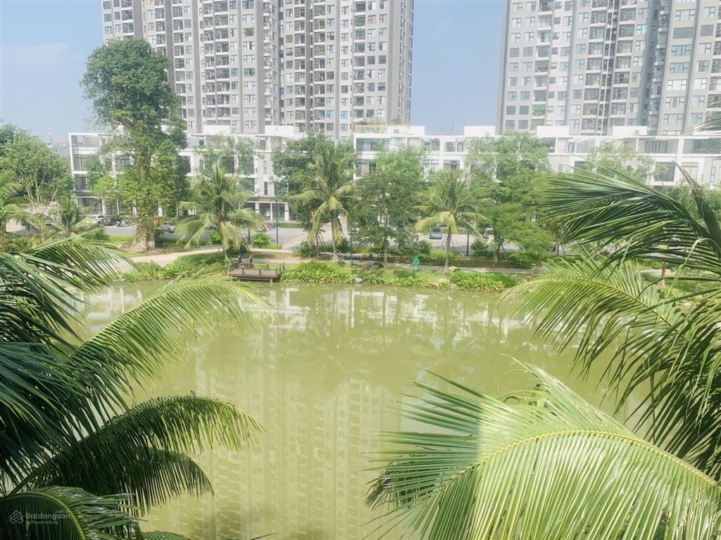 Chính chủ bán song lập biệt thự đảo ecopark dt 270m², giá tốt thị trường