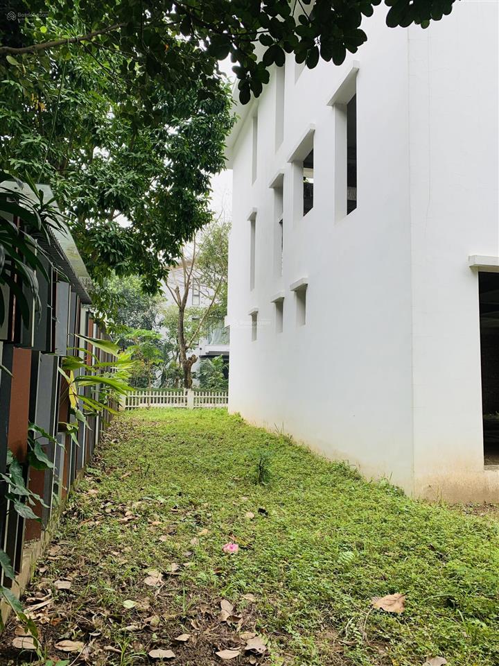 Chính chủ bán song lập biệt thự đảo ecopark dt 270m², giá tốt thị trường