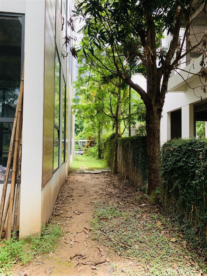 Chính chủ bán biệt thự đảo ecopark, diện tích 270m² căn một trong số ít giá tốt