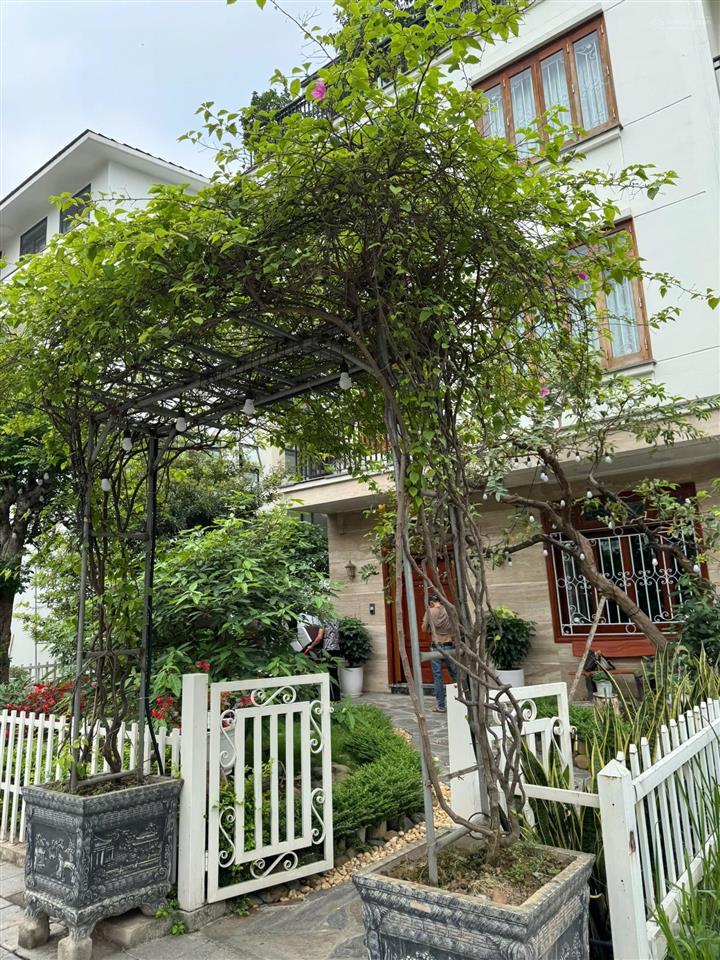 Bán biệt thự song lập marina vị trí cực đẹp full nội thất, giá bán tốt nhất thị trường