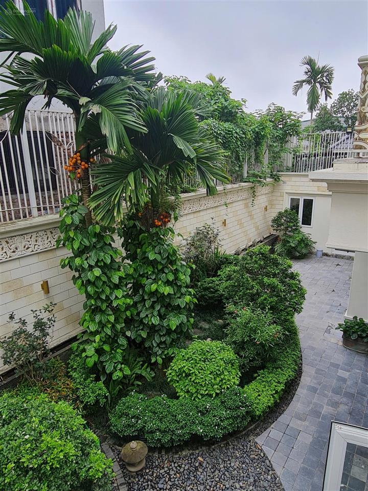 Chính chủ bán biệt thự đơn lập vườn tùng siêu đẹp, xây mới hoàn toàn nội thất nhập khẩu