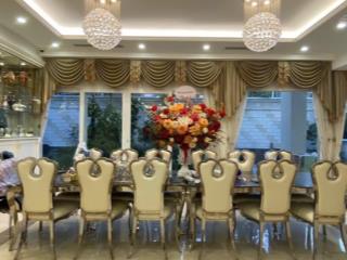 Chính chủ bán biệt thự đơn lập vườn tùng siêu đẹp xây mới hoàn toàn nội thất nhập khẩu