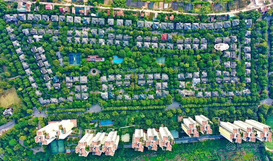 Chính chủ bán biệt thự đơn lập vườn tùng ecopark, giá tốt trong khu vực