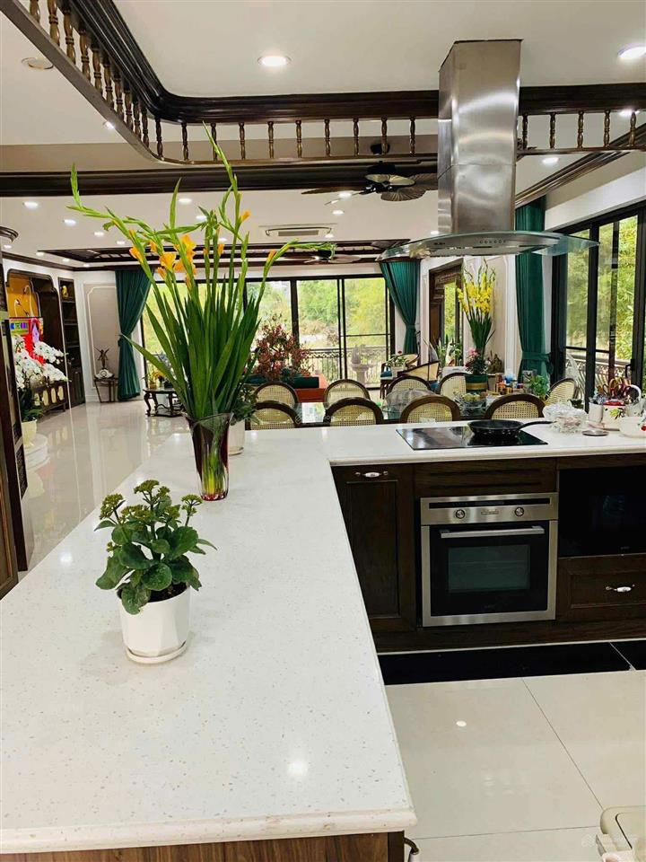 Bán biệt thự thương mại song lập phân khu mimosa, ecopark nội thất đẹp giá tốt