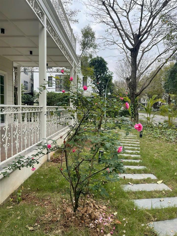 Chính chủ bán biệt thự song lập mariana nhà hoàn thiện siêu đẹp view công viên