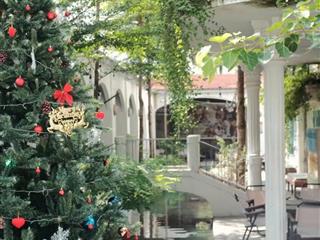 Bán biệt thự mặt tiền kd cafe tổ chức sự kiện, đường 16m khu vip gò vấp giáp bình thạnh phú nhuận