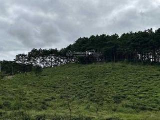 Chính chủ cần bán lô đất xã b' lá, bảo lâm, lâm đồng