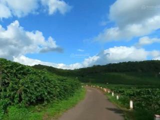 Cần bán đất b'lá  bảo lâm  lâm đồng giá tốt, vị trí đẹp