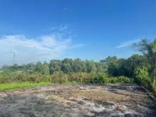 Đất vuông rộng, lý tưởng xây nhà vườn hoặc trang trại