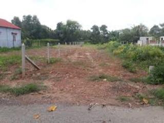 Bán đất vườn hòa phú gần trục lớn sông lu 2, xe hơi di chuyển thuận tiện