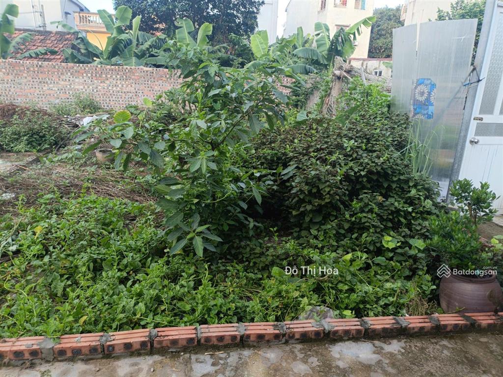 Bán đất ỷ lan đặng xá dt 43m ô tô phân lô ngõ thông ở sướng