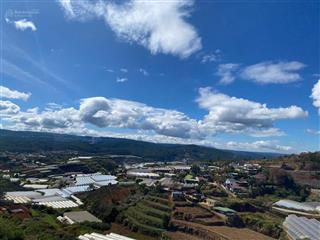 1423m2 có sẵn 404m2 thổ cư, view săn mây, cách ql 100m, tại xã xuân thọ, đà lạt. giá 12 tr/m2
