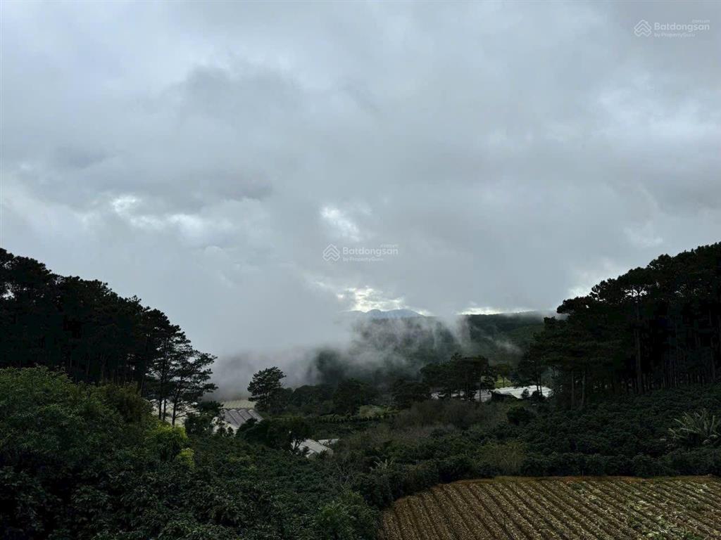 1000m2 đất qh full thổ cư, mặt tiền ql20 tại phường xuân trường đà lạt, view săn mây, rừng thông