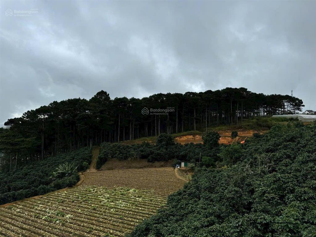 1000m2 đất qh full thổ cư, mặt tiền ql20 tại phường xuân trường đà lạt, view săn mây, rừng thông