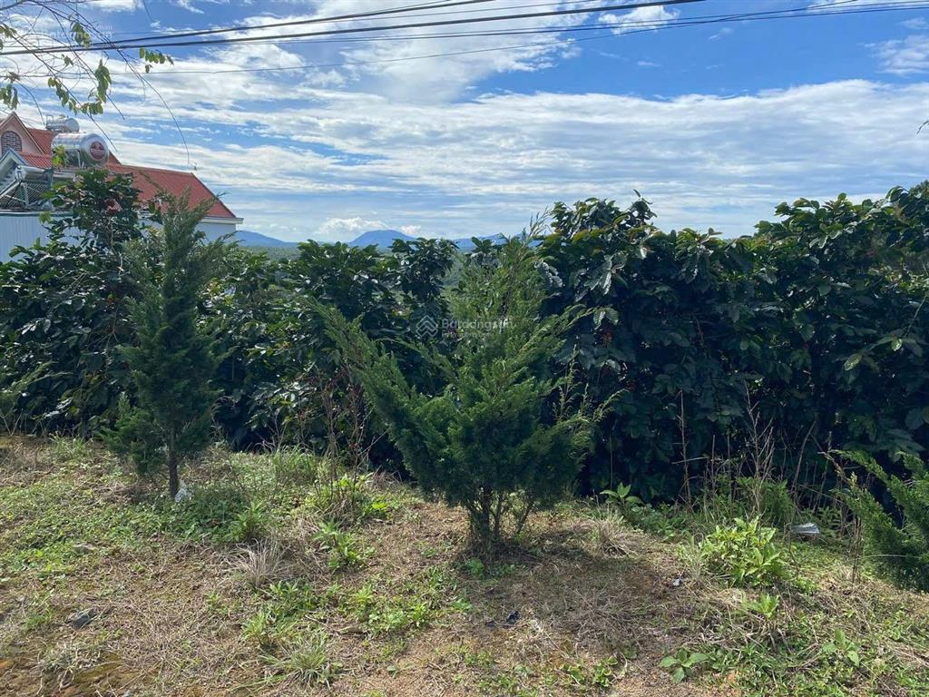 1000m2 đất qh full thổ cư, mặt tiền ql20 tại phường xuân trường đà lạt, view săn mây, rừng thông