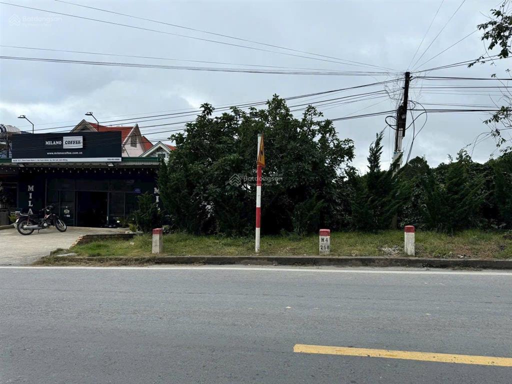 1000m2 đất qh full thổ cư, mặt tiền ql20 tại phường xuân trường đà lạt, view săn mây, rừng thông