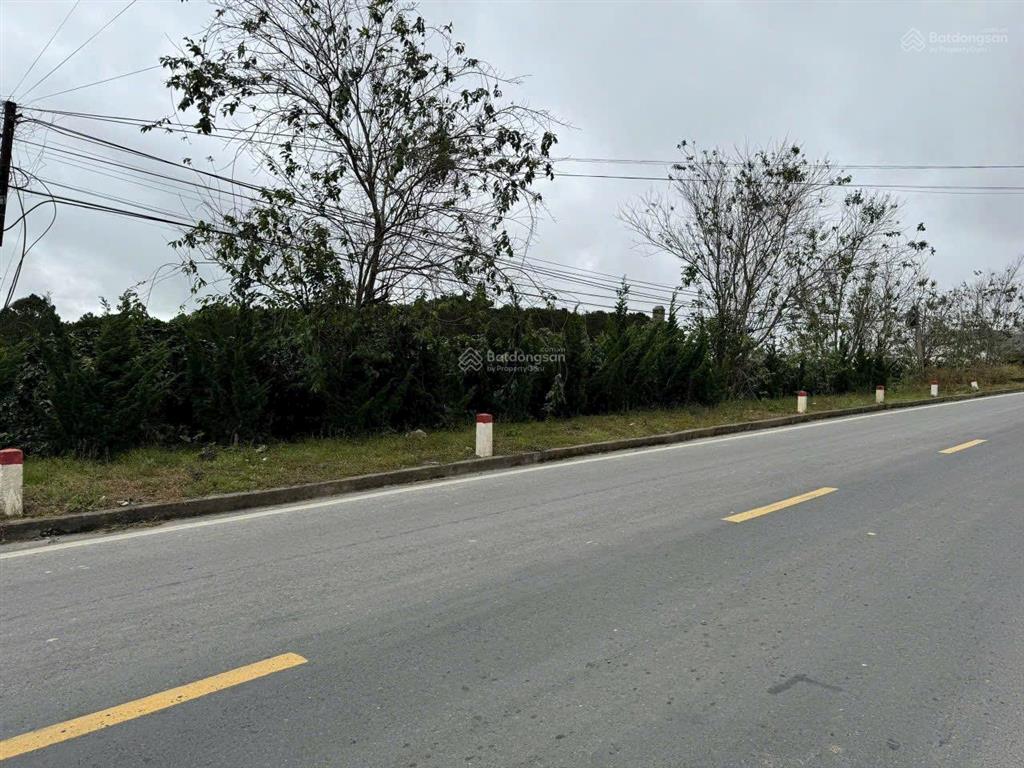 1000m2 đất qh full thổ cư, mặt tiền ql20 tại phường xuân trường đà lạt, view săn mây, rừng thông