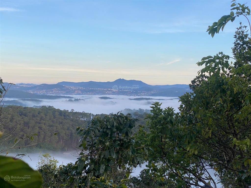 1486m2 đất nn, tại phường xuân trường đà lạt, view săn mây như hình, đất bằng phẳng, gần ql
