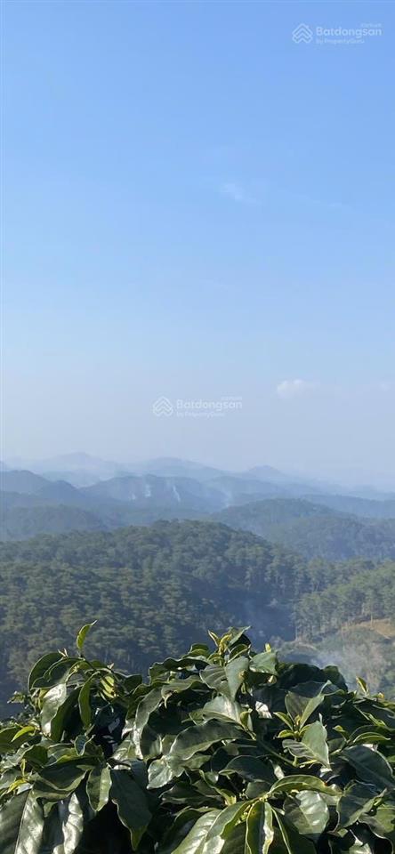 1486m2 đất nn, tại phường xuân trường đà lạt, view săn mây như hình, đất bằng phẳng, gần ql