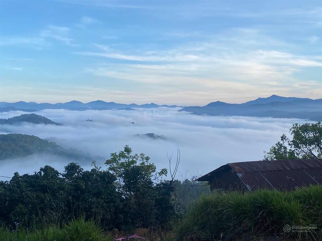 1486m2 đất nn, tại phường xuân trường đà lạt, view săn mây như hình, đất bằng phẳng, gần ql