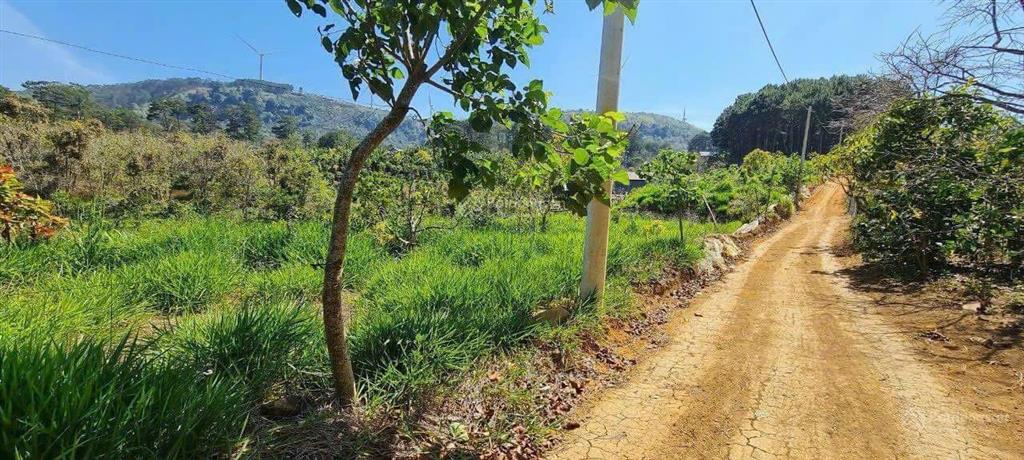 1000m2 đất nn tại phường xuân trường  đà lạt, đất bằng phẳng, đường 4m, view săn mây. giá 1,5tỷ tl