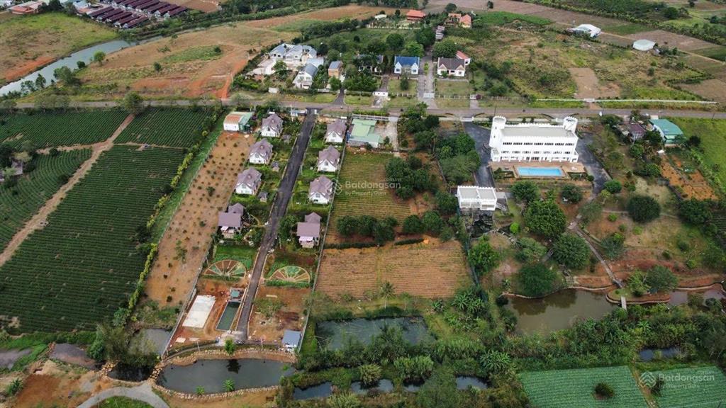 Chỉ với 750 triệu có ngay đất nền nghỉ dưỡng ở làng omm nay là bảo lộc