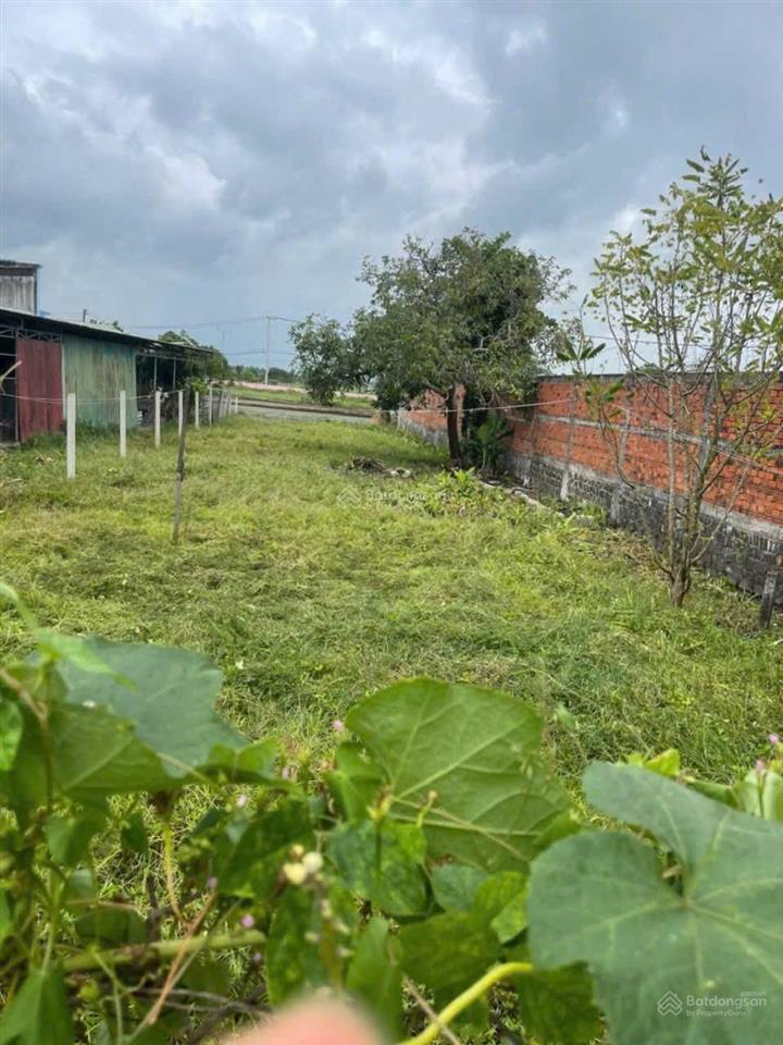 Đất vườn nghỉ dưỡng xã xuyên mộc  tp hcm