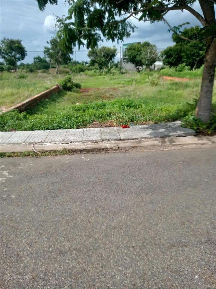 Đầu tư đất nghỉ dưỡng sinh lời bền vững tại xuyên mộc, chỉ 9,5 triệu/ m2