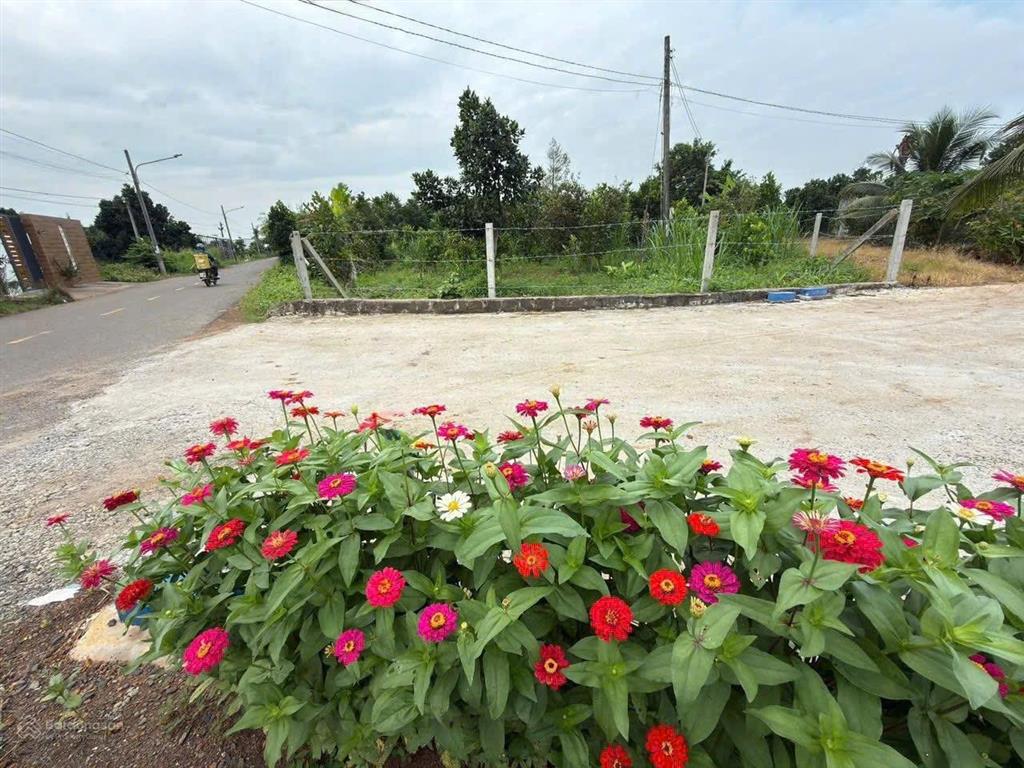 Láng dài, đất đỏ, brvt dt 455 m2 10 x 445m nở hậu đã có sẵn 80m2 thổ cư giá 6 tỷ 4 (tl)