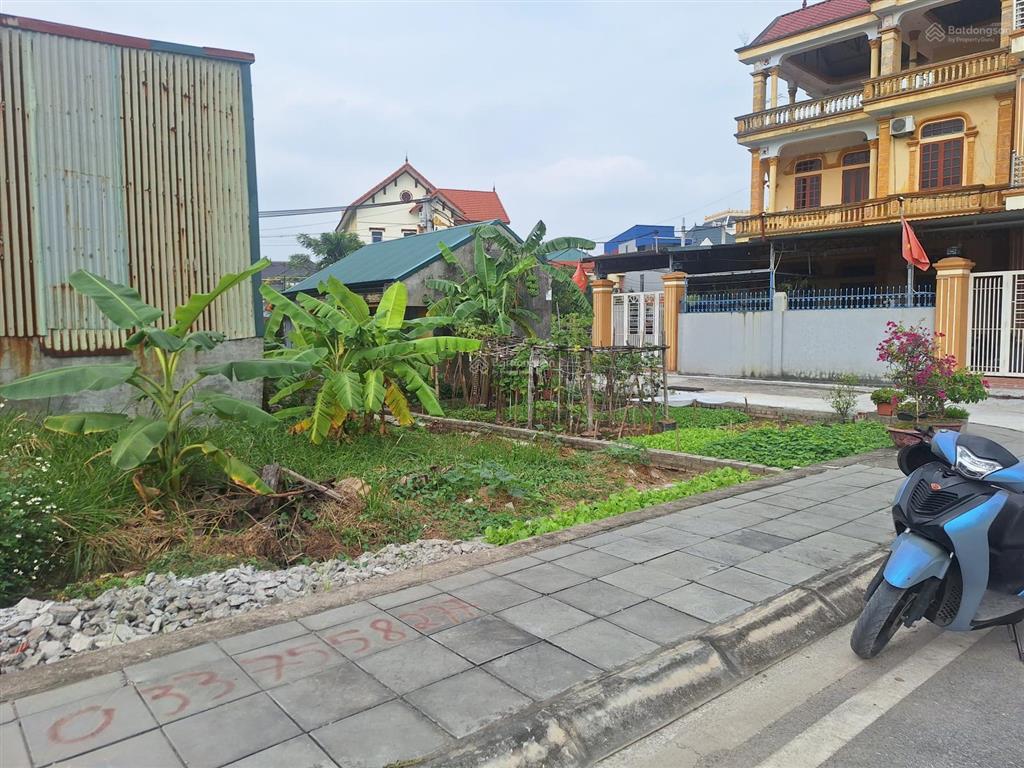 Bán đất đấu giá sát vin 2,3 tại thôn tăng bảo, tân quang, 4,15 tỷ, 98m2