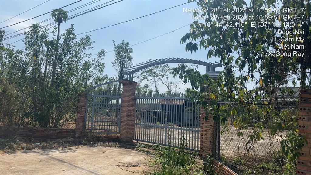 Bán đất tại xã sông ray, cẩm mỹ, đồng nai, 21,6 tỷ, 38550m2  hot