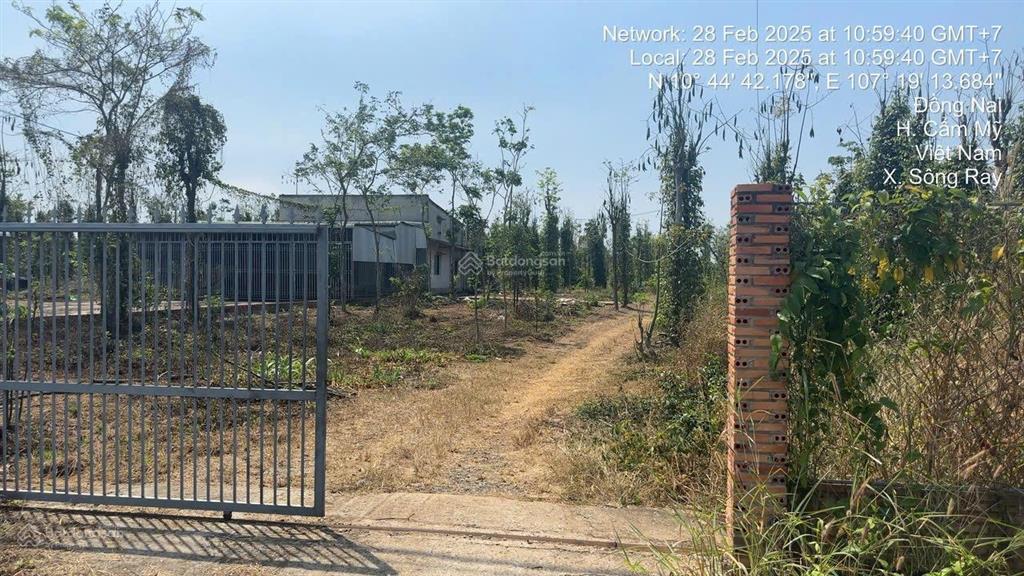 Bán đất tại xã sông ray, cẩm mỹ, đồng nai, 21,6 tỷ, 38550m2  hot