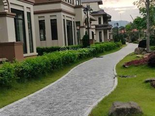 Mở bán 30 căn biệt thự wealthy valley tiến xuân thạch thất hà nội