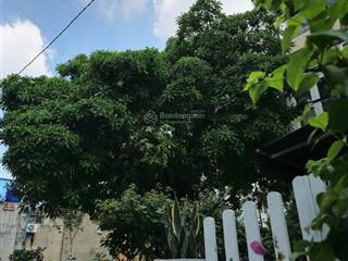 Đất tại khu đẹp nhất thạch lam, tân phú 6x16, xe hơi ngủ trong nhà chỉ 7,x tỷ