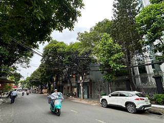 Nhà 2mt đường a4 c22 phường 12 tân bình 8x30 cn 210m2 hầm 6 tầng thang máyhđt 110tr/th 45 tỷ