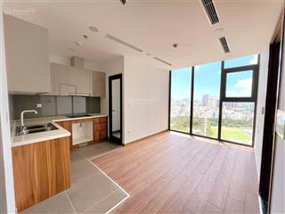 Bán căn hộ 1pn1wc, 45m², chính chủ, sổ hồng riêng  gọi 0889 878 ***