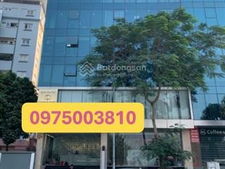 Siêu phẩm mặt phố nguyễn khang dt 350m2 11 tầng  mt 9.9m, doanh thu cả hơn 6 tỷ/năm.