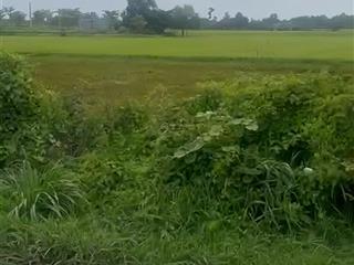 Chính chủ bán gấp 108.237m² đất đẹp giá chỉ 1,7 triệu/m²  liền kề củ chi (tp. hcm)