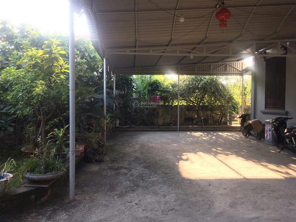 Đất thổ cư (đảo cát bà) đặc khu cát hải hải phòng, giá chỉ 10 triệu/m2 tổng 435m2