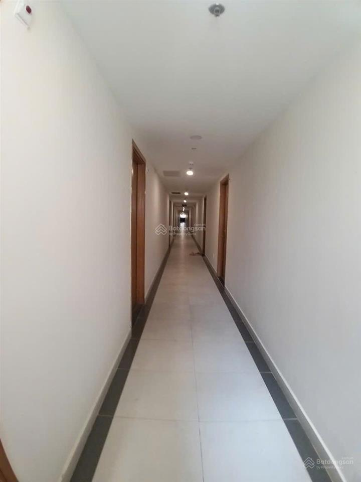 Giỏ hàng thuê 30 căn saigon intela đa dạng tầng 50m2, 55m2 từ 5.5 triệu, 6 triệu , 6.5 triệu