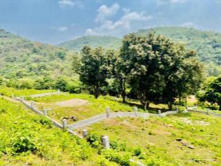 Bán mảnh đất view rừng phong đẹp chỉ 2,x tỷ xóm gò bùi, xã dân hòa, huyện kỳ sơn