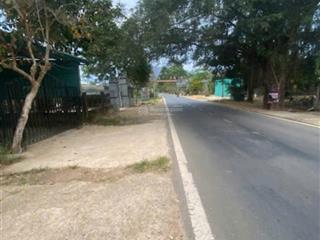 Chính chủ bán đất dt 13000m2, giá tốt 8 tỷ, tại đt 713, đoàn kết, đạ huoai, lâm đồng